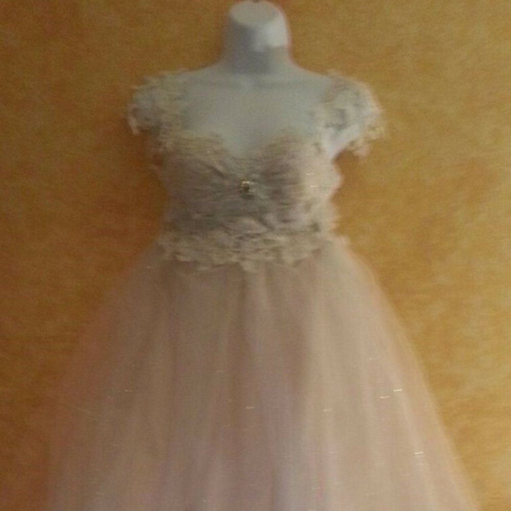 Lady Rose Ivory Lace Tulle  Backless Ballgown - Picture 8 of 8